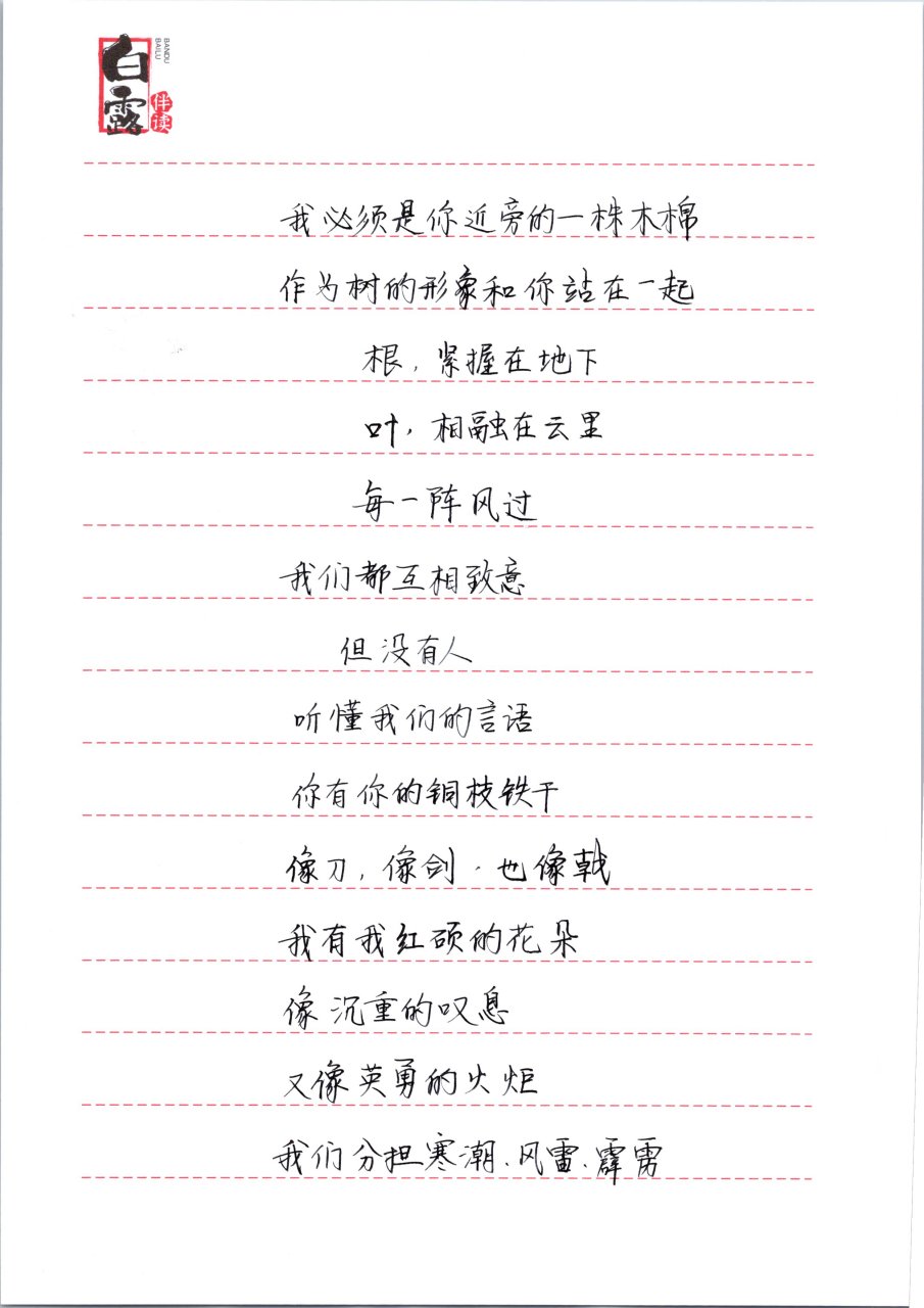 百家号抄书第4天,摘抄舒婷《致橡树》