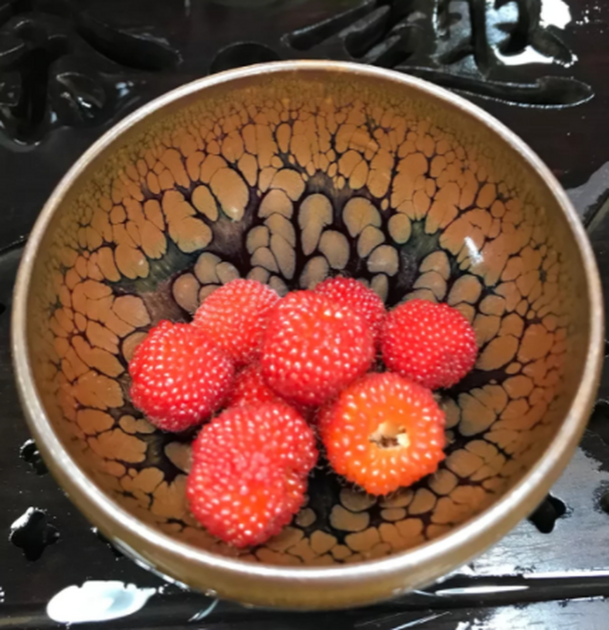 力创作者##仲夏好物节# 红袍建盏邂逅大红泡(学名大红袍)精品十野趣