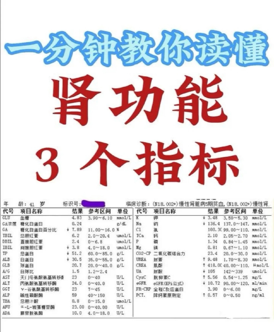 一分钟教你读懂肾功能的3个指标!  1.