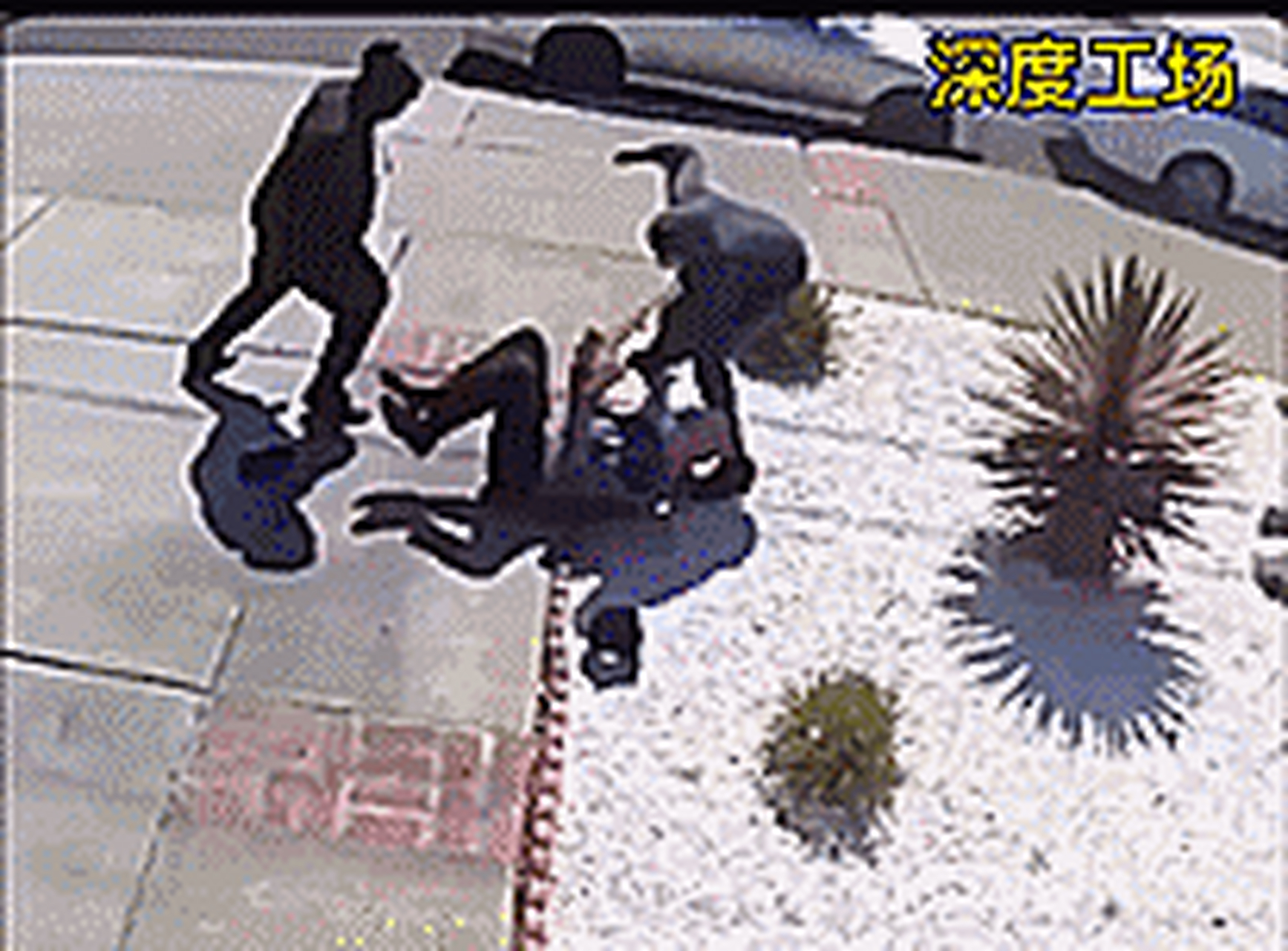 美国2名黑人少年,殴打抢劫一名80岁亚裔老人,使劲抽嘴巴打脸,还抢走