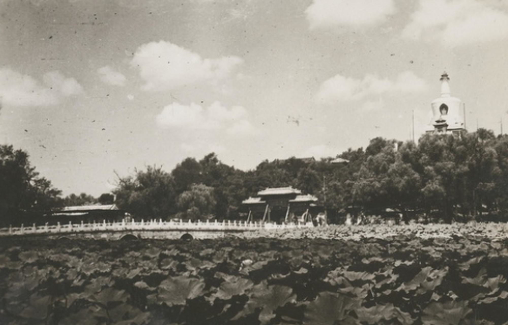 历史老照片# 1935年北京老照片,30年代的北海公园.