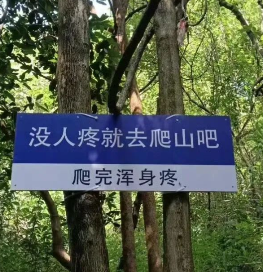 虾仁还要猪心表情包图片