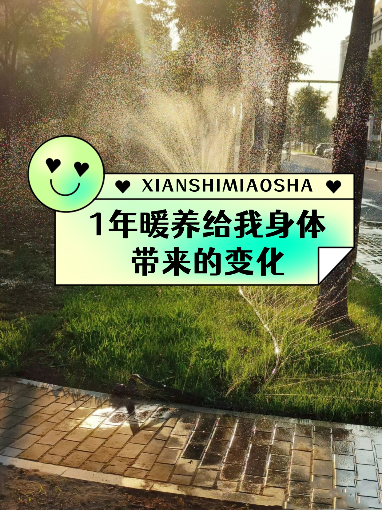 1年暖养给我身体带来的变化