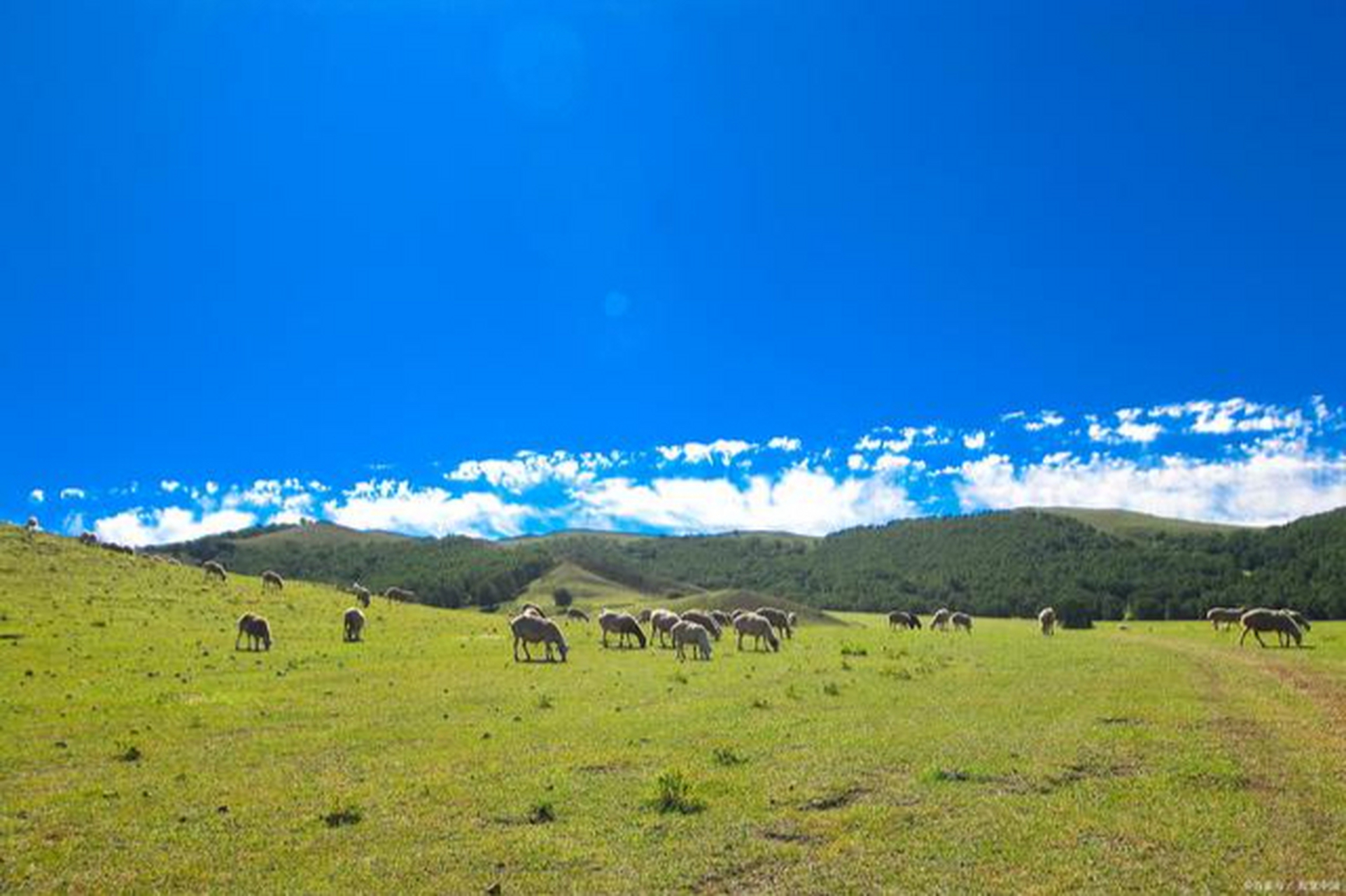 位于四川省甘孜州理塘县县城以西,群山的环抱之中,草原郁郁葱葱,夏日