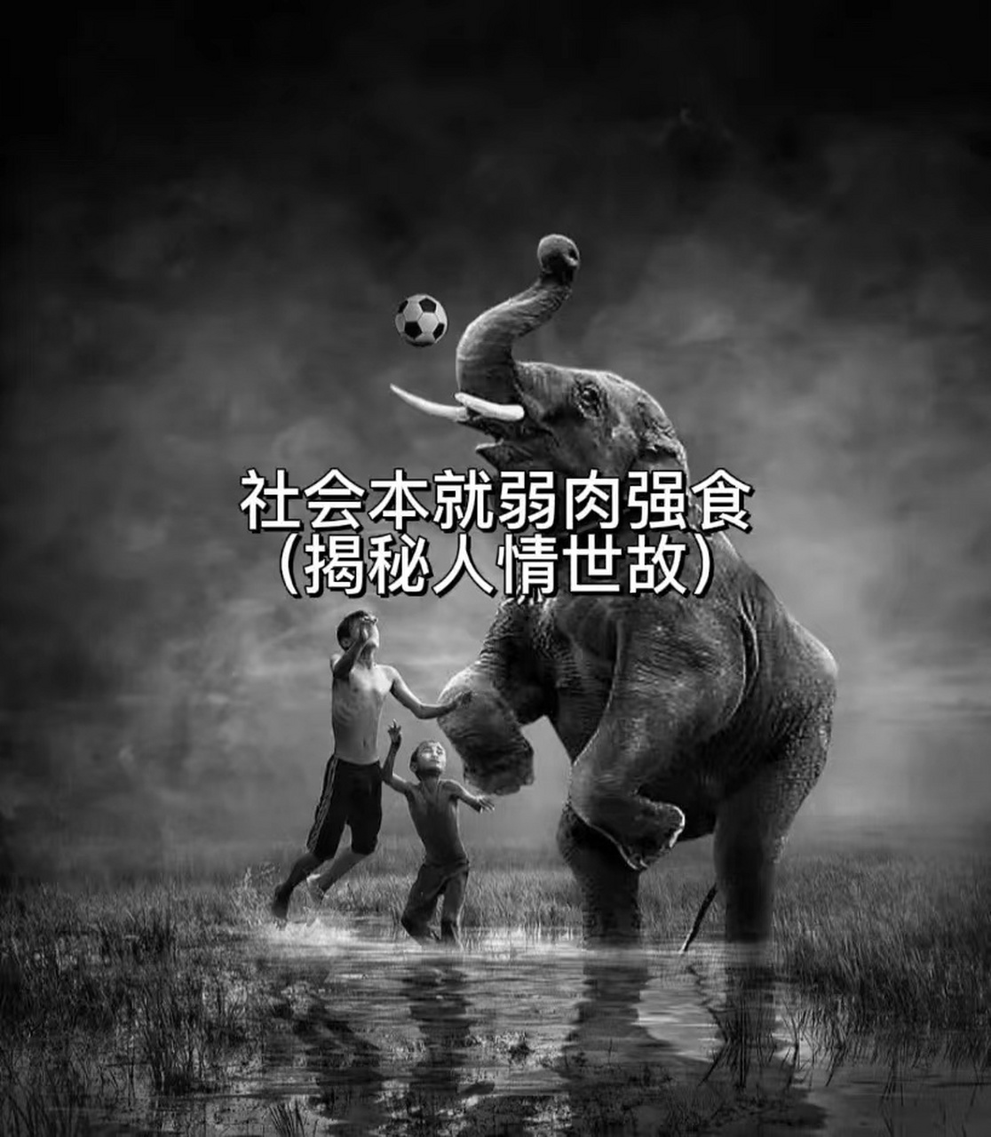 社会本就弱肉强食 (揭秘人情世故)   如果公共场合,有人口头上攻击你