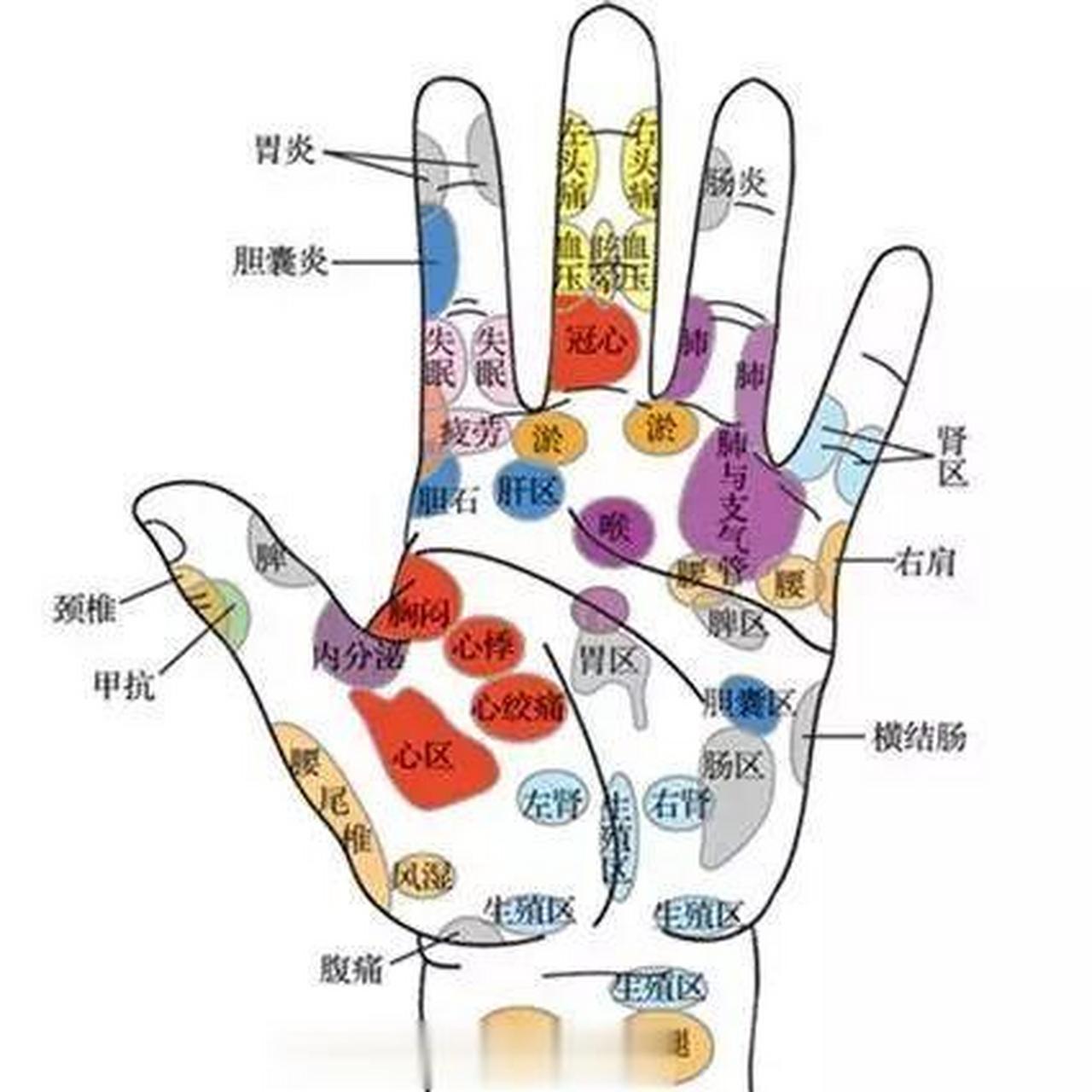 手指血位置示意图图片