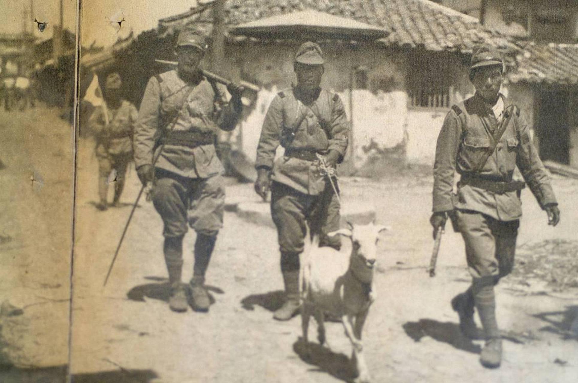 1940年,16岁的八路军小战士杨二娃在传递情报途中被饿狼追赶!