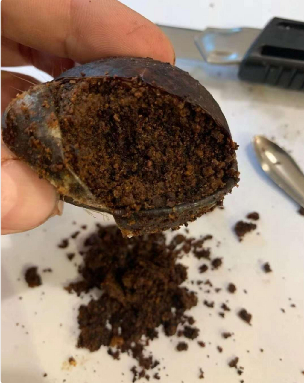 麝香长这样子?啥做的啊