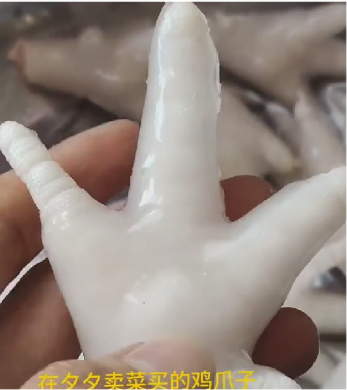 并夕夕总能给你意想不到的惊喜