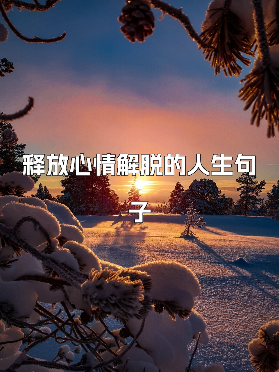 释放心情解脱的人生句子