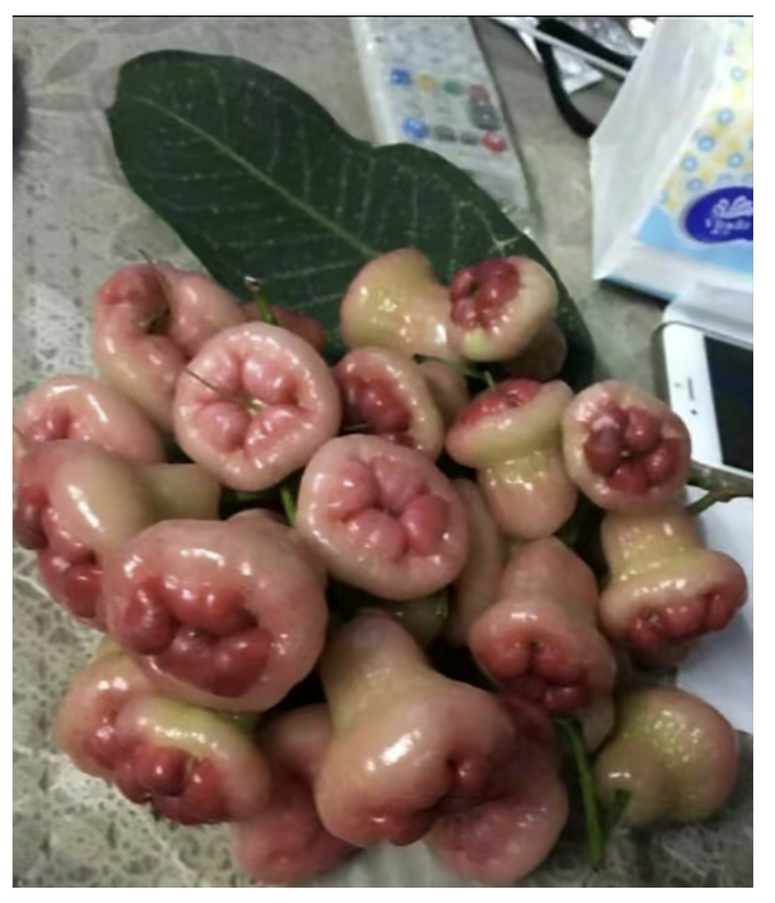 我朋友说这个东西叫痔疮果[捂脸]