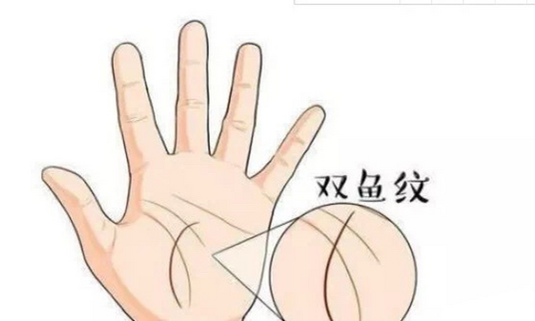 双鱼纹:  手相中的双鱼纹是指,手中有两条手纹较差,像小鱼一样,位于