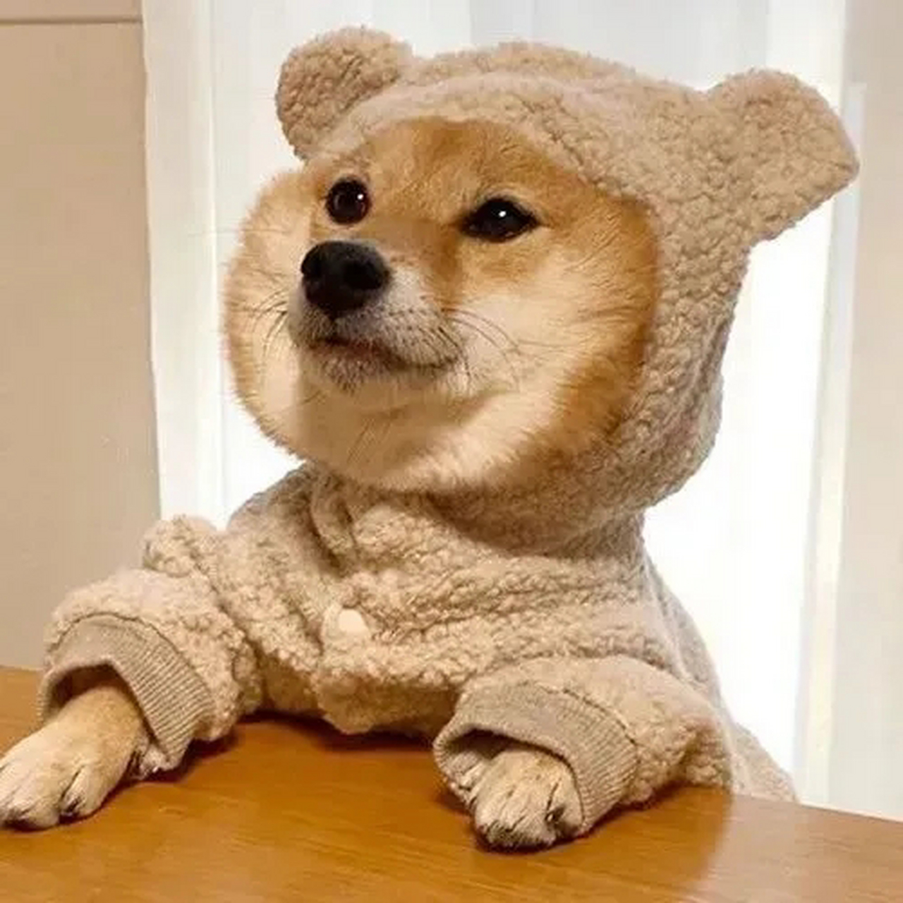 搞笑头像  "你不必理解我的一言一行,赞许我的一举一动,你只要知,我终