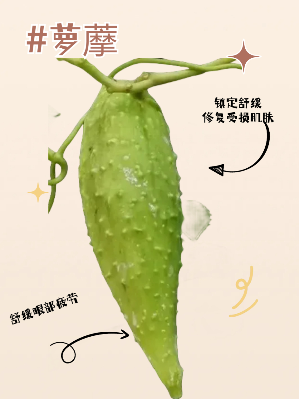 大家好,今天我要和大家聊一聊萝藦的功效与作用78 #健康经验笔记