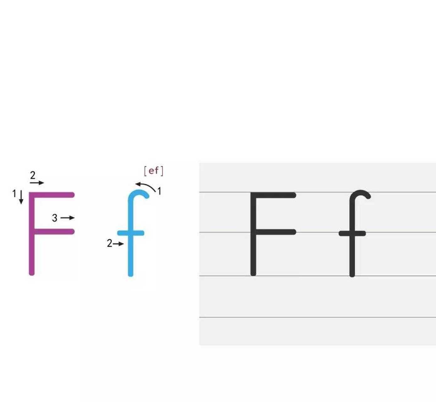 f的笔顺正确图片