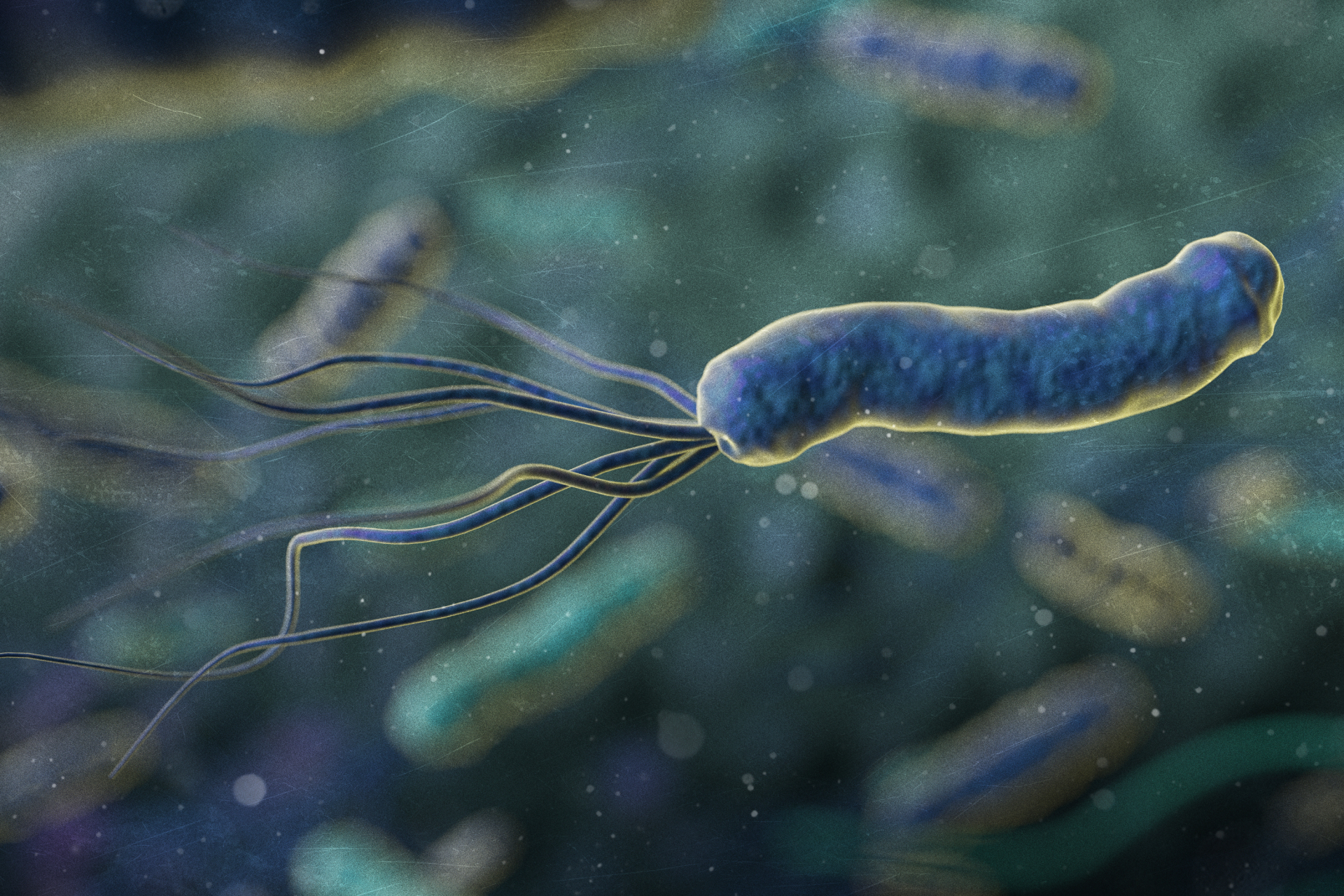 胃肠健康#  去医院检查,医生说感染了幽门螺杆菌!幽门螺杆菌是什么?