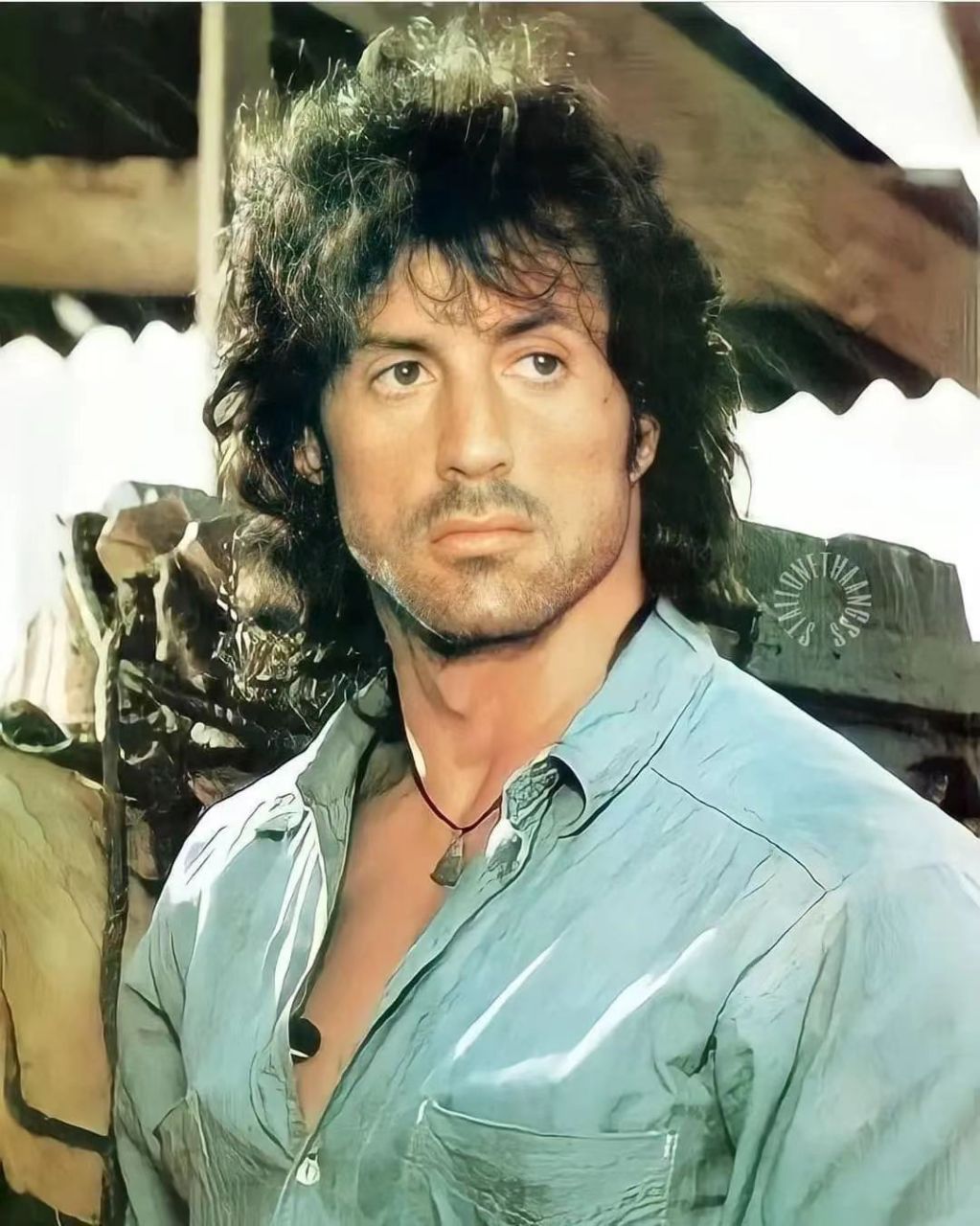 世界最伟大的10位动作片巨星