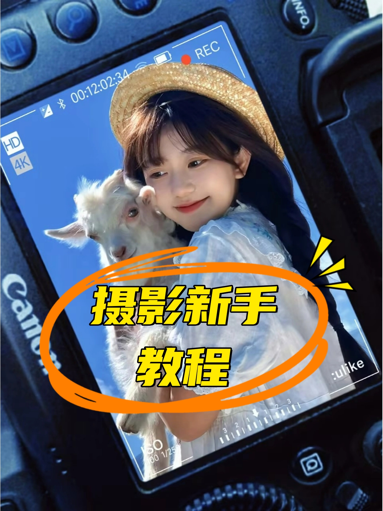 摄影教程拍摄参数怎么调，技巧大全