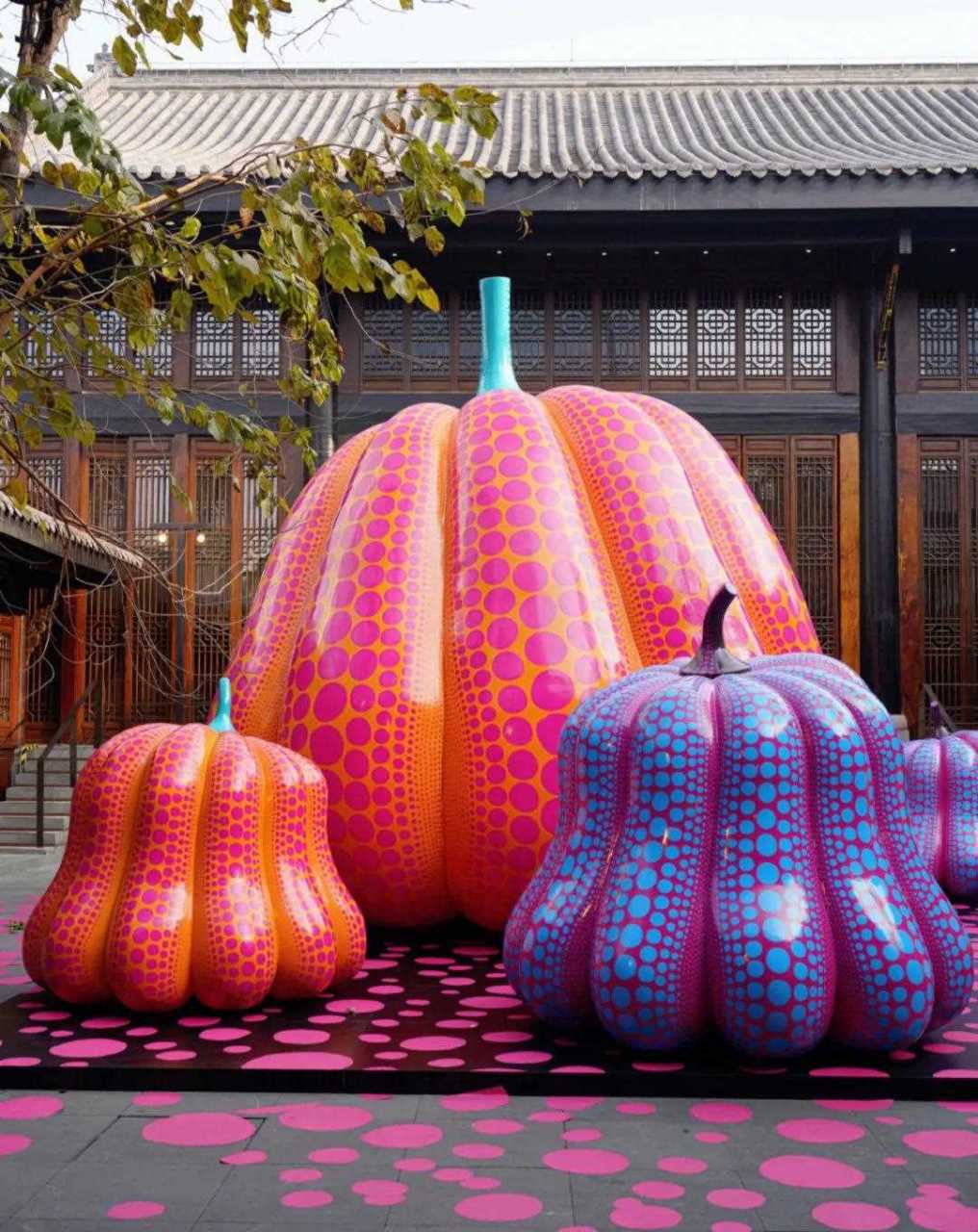 快来看彩色波点南瓜!好漂亮啊![浪]