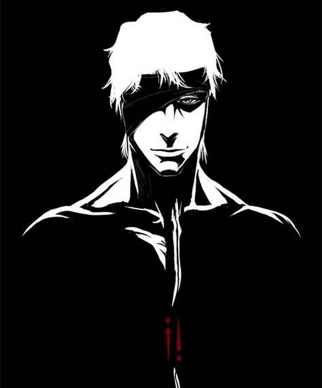 蓝染黑白配 #死神# #动漫