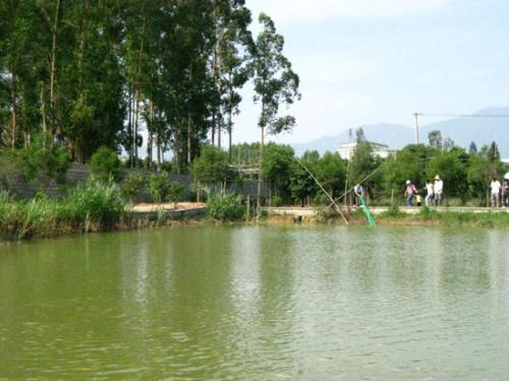 夏日旅行记#宝生园:宝生园在厦门集美旅游必去十大景点中是一个能