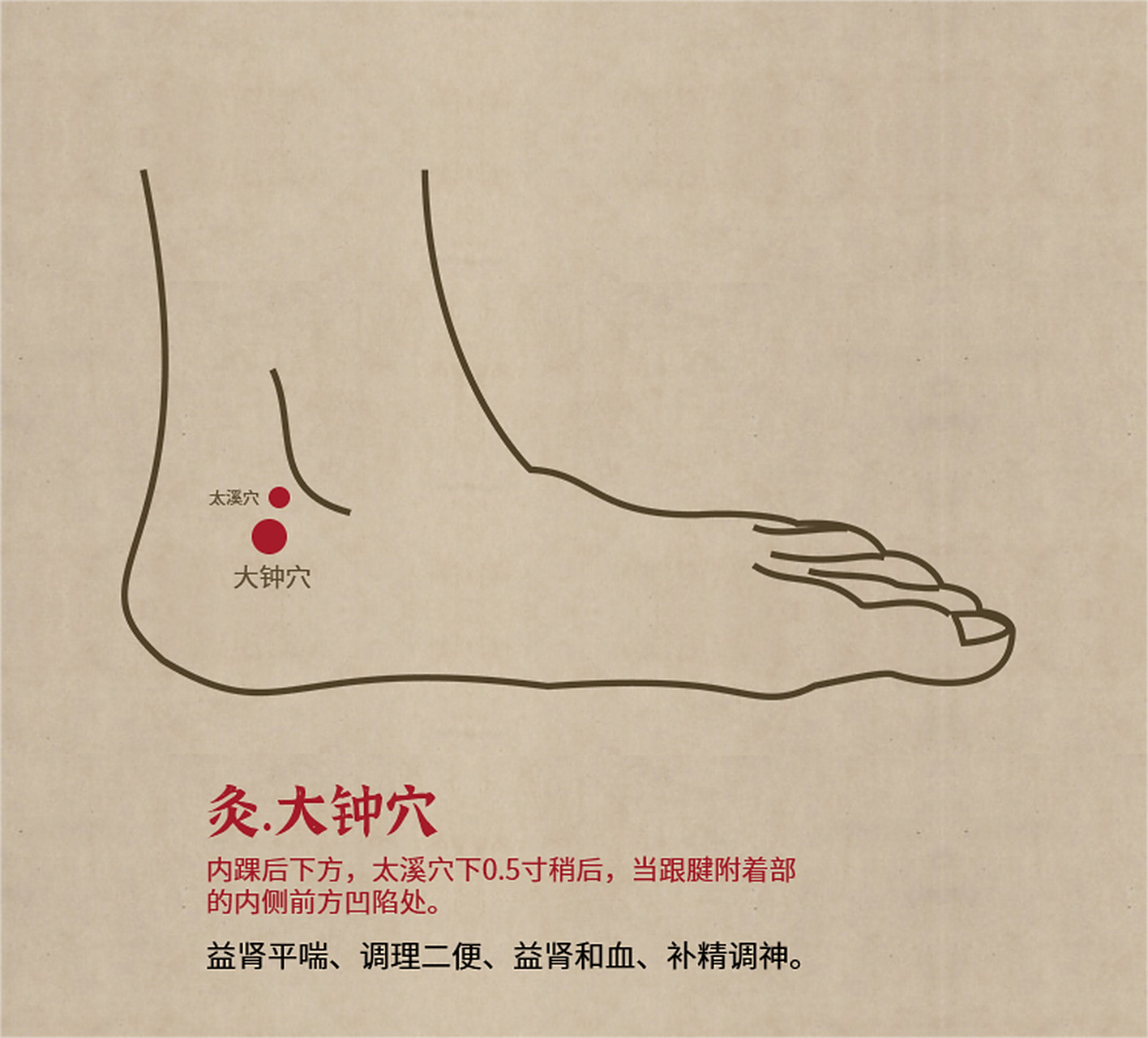 属足少阴肾经,也肾经的络穴;大为小之对,钟同"踵"即足跟,此穴在足跟