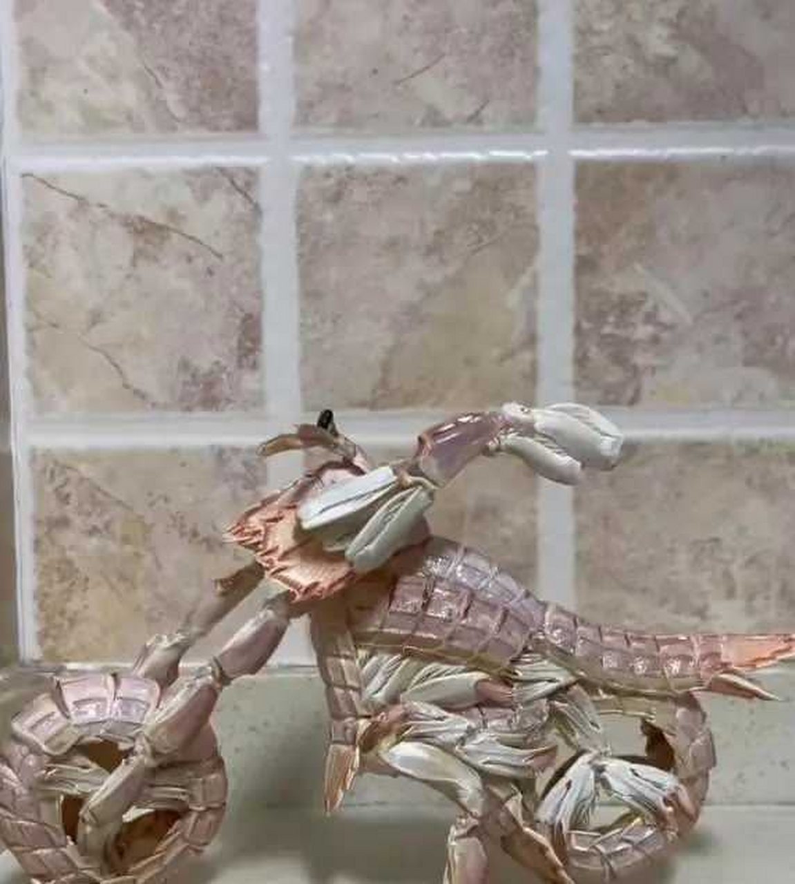 皮皮虾骑着这辆可爱机车,简直是摩托界的宠儿!