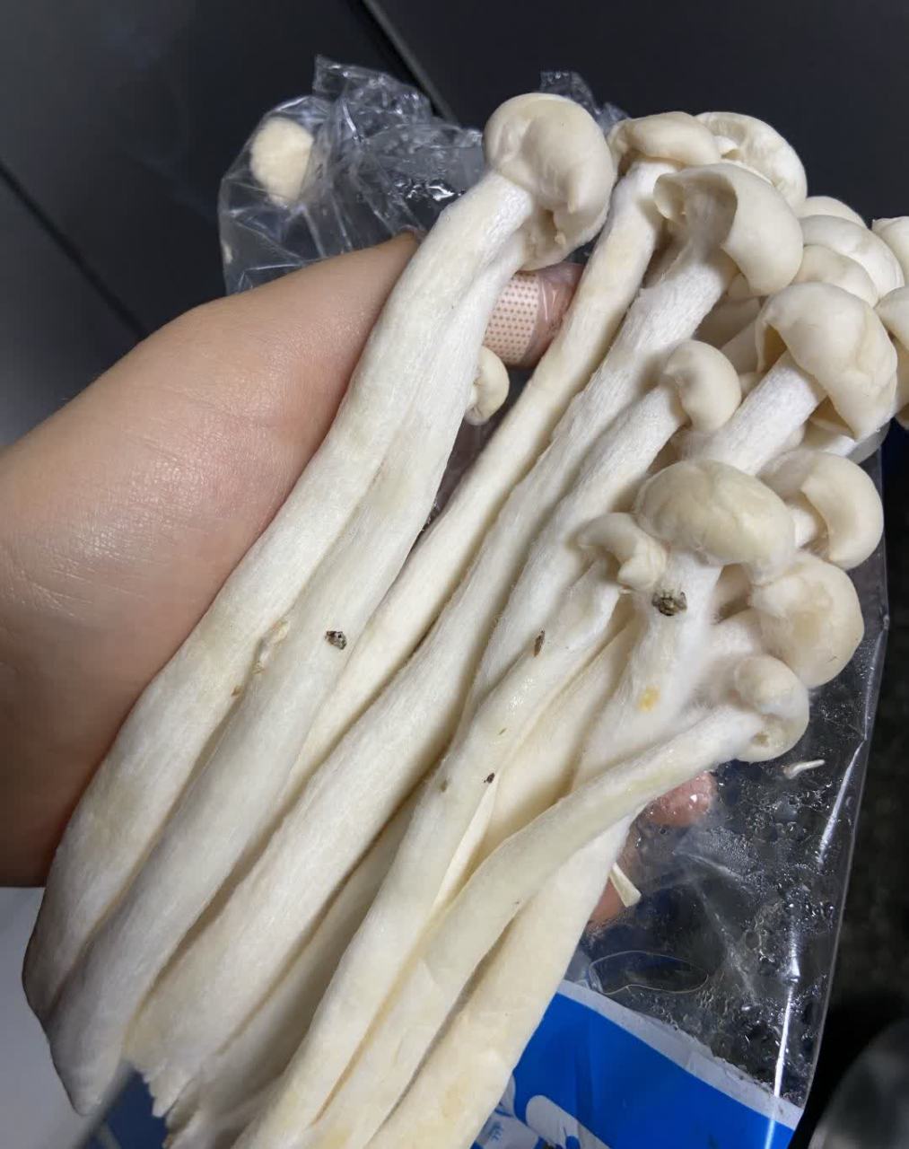 我感觉海鲜菇发霉了,还能吃吗?[二哈]