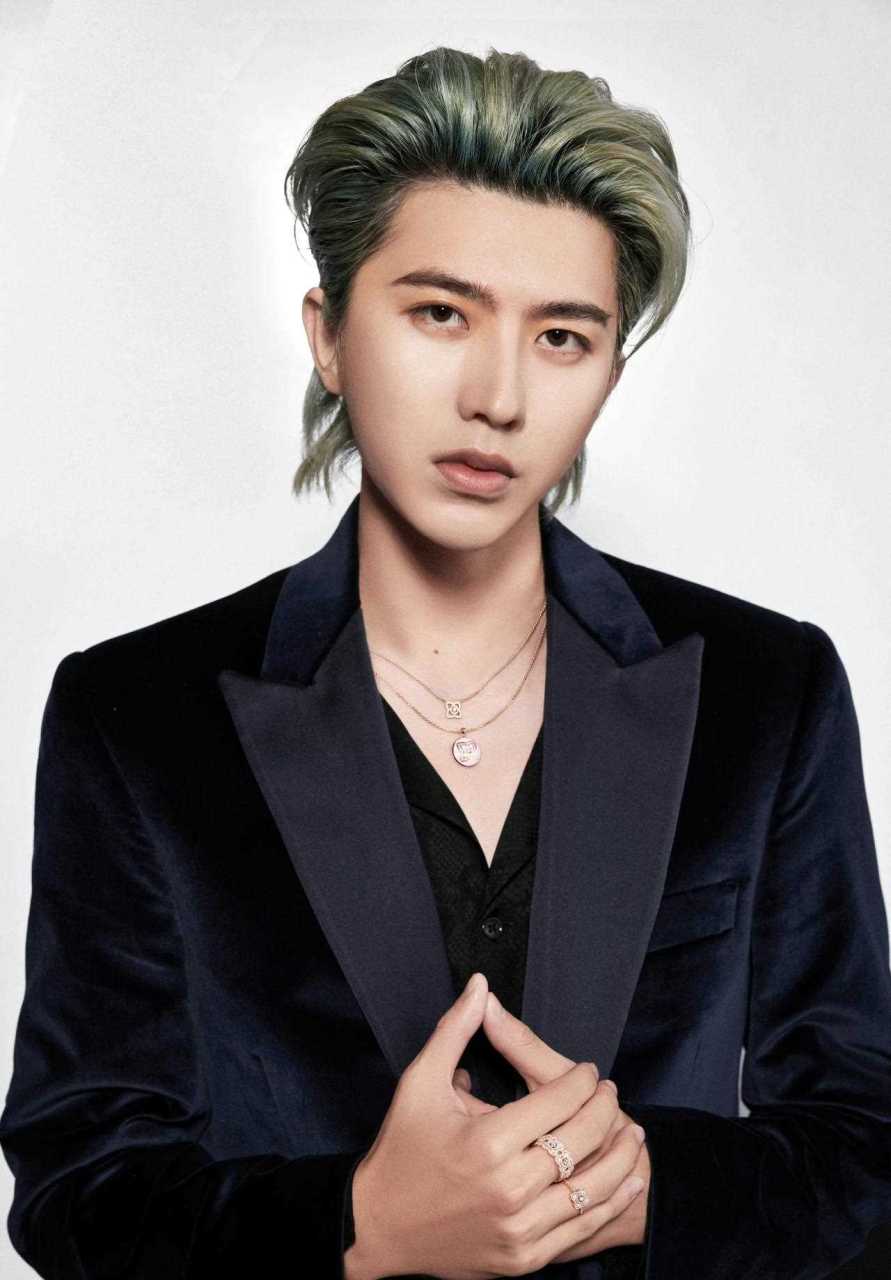 坤坤,越来越帅了,大背头梳的帅气![再见]