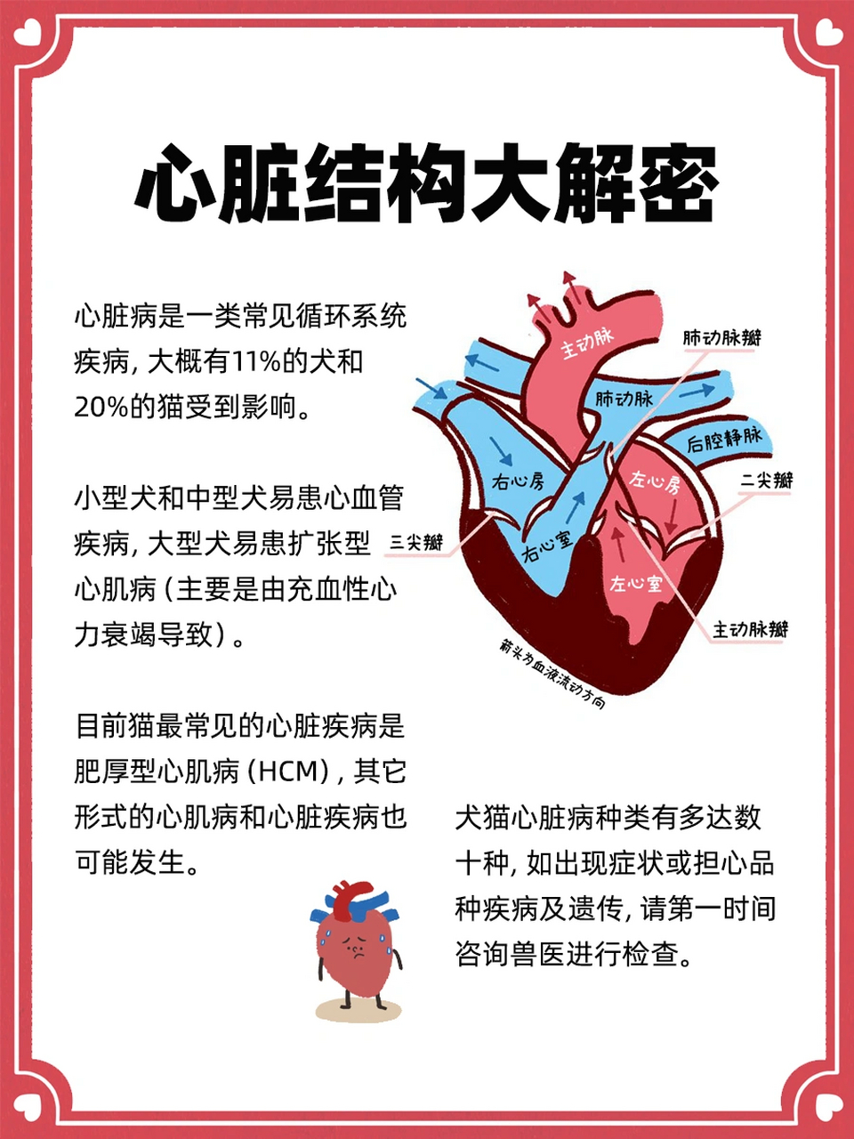 福利猫狗心脏病新手指南 猫狗心脏病难发现,难养护,易去世怎么办?