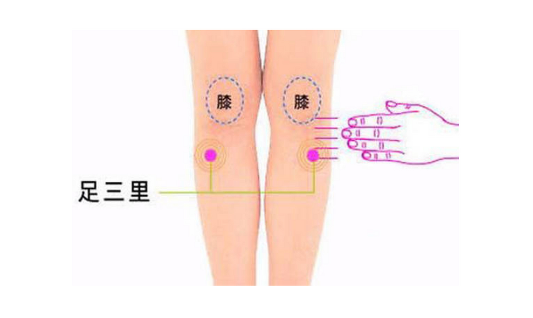 脾虚湿气重按摩位置图图片