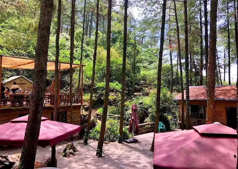 江津四面山避暑房来了,全程高速1.5小时飚拢,关键价格还便宜!