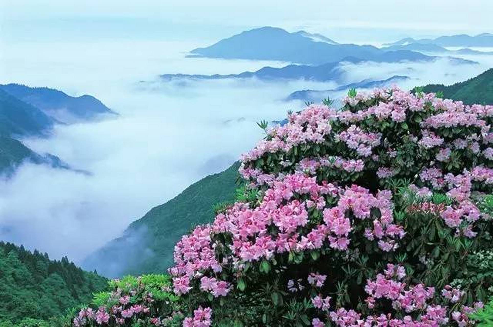 中华十大名山天台山图片