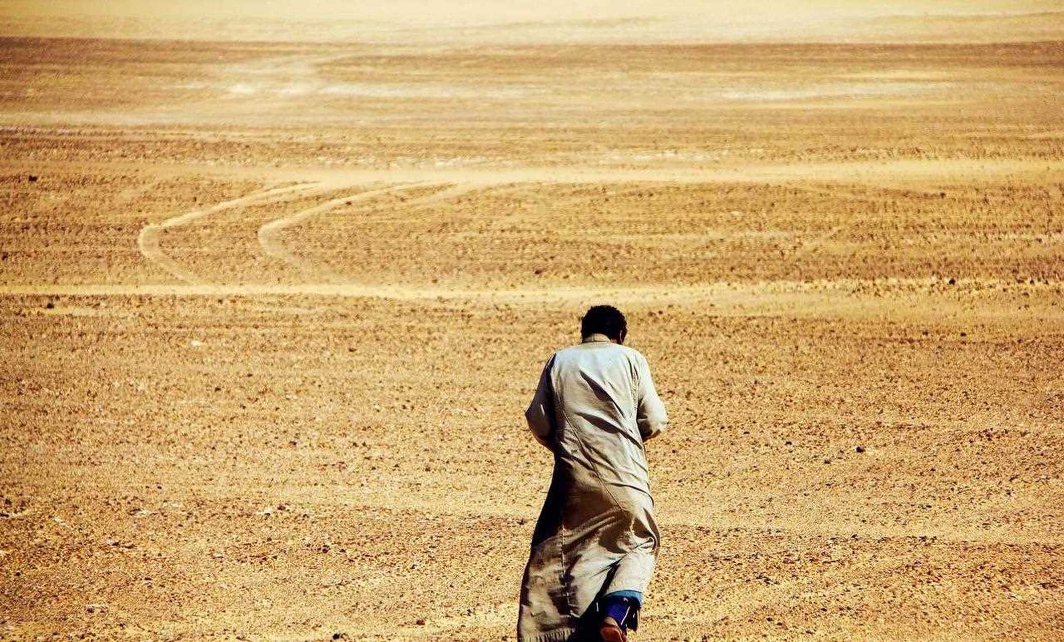 孤独的修行者(摄于埃及白沙漠)