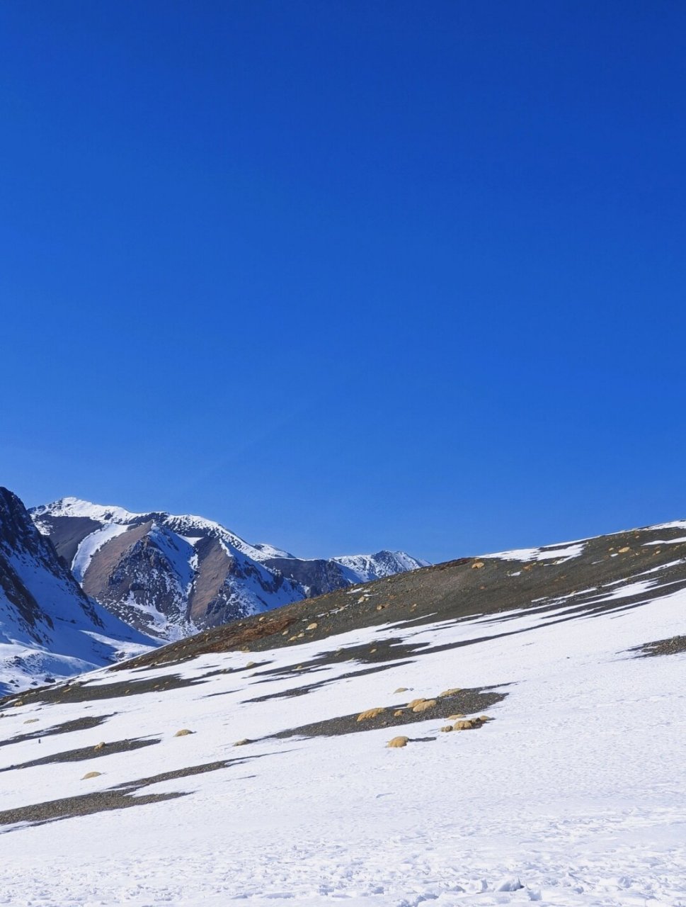 去不了四姑娘,那就去岗什卡呗  岗什卡雪峰位于青海省门源回族自治县