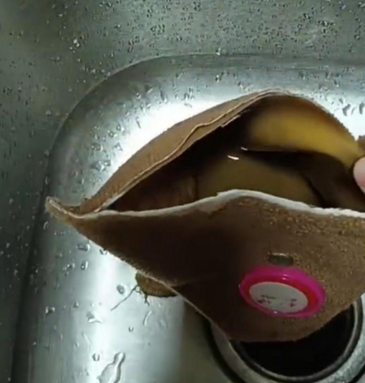 去年28块钱买的电热水袋,剪开一看太浑浊了,倒出来全是脏水.