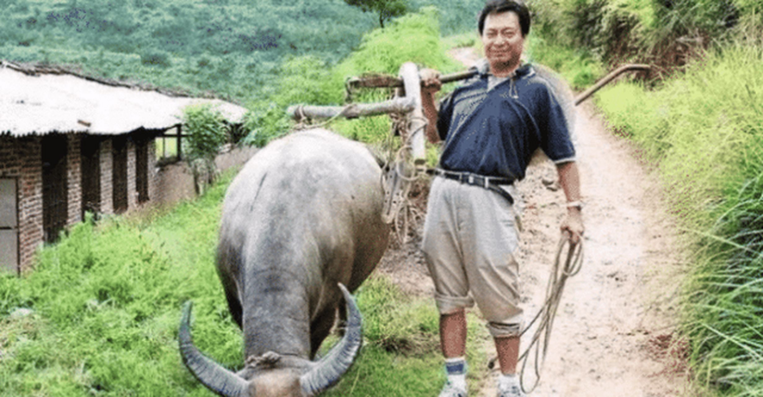 《网中人》是香港tvb的经典老牌电视剧,这部由香港著名影帝"发哥"