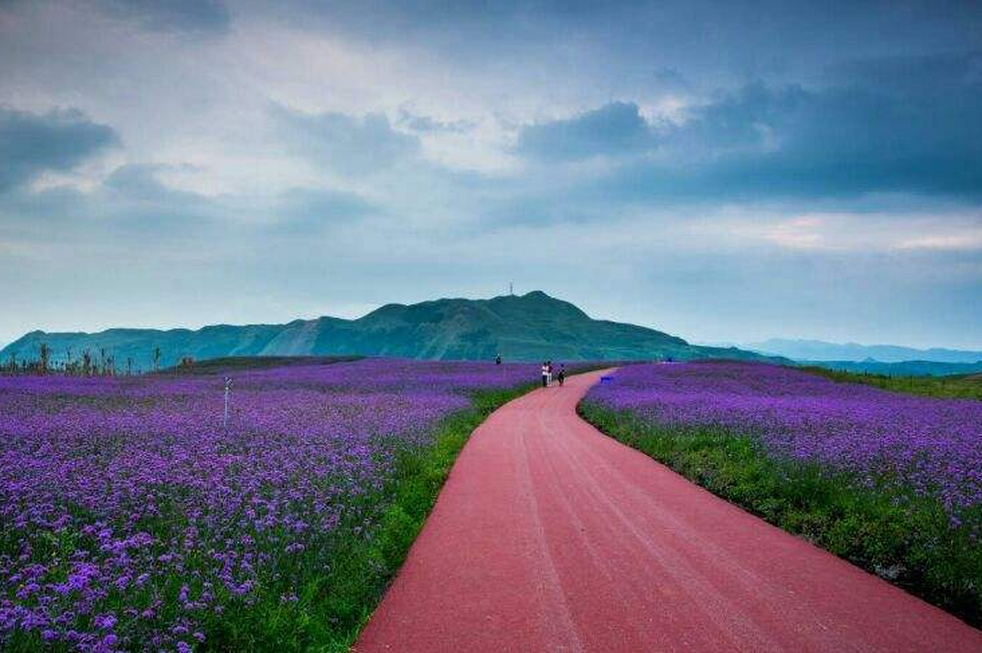 贵州放马坪:位于黔西南州兴仁县北部,是国家aaaa级旅游景区,总面积