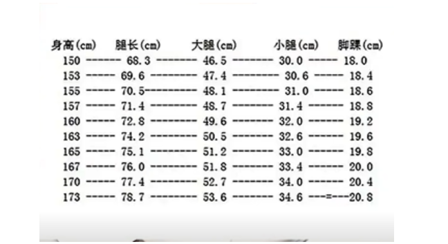 身高腿长比例表女生图片