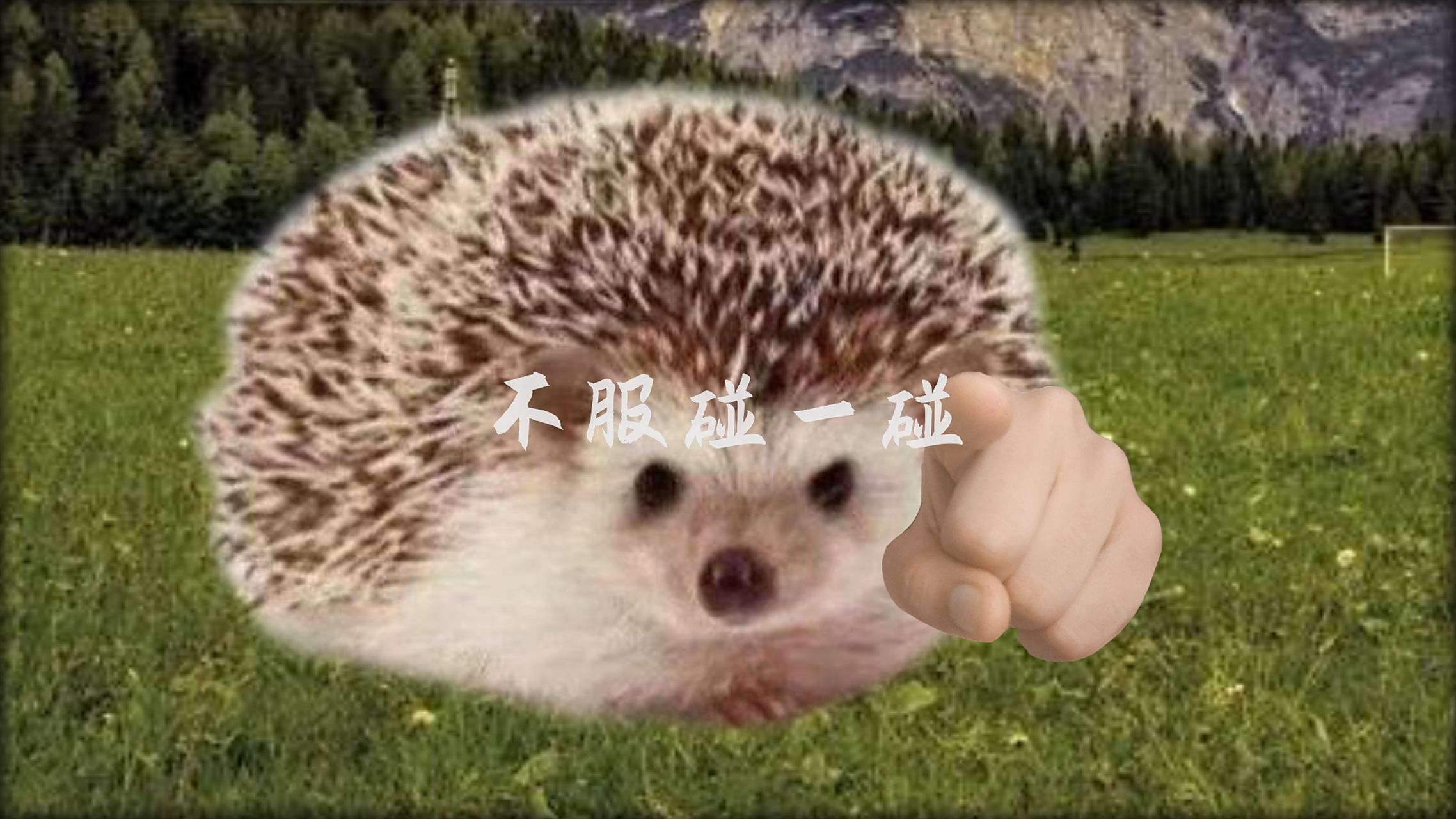 压迫感表情包第二弹