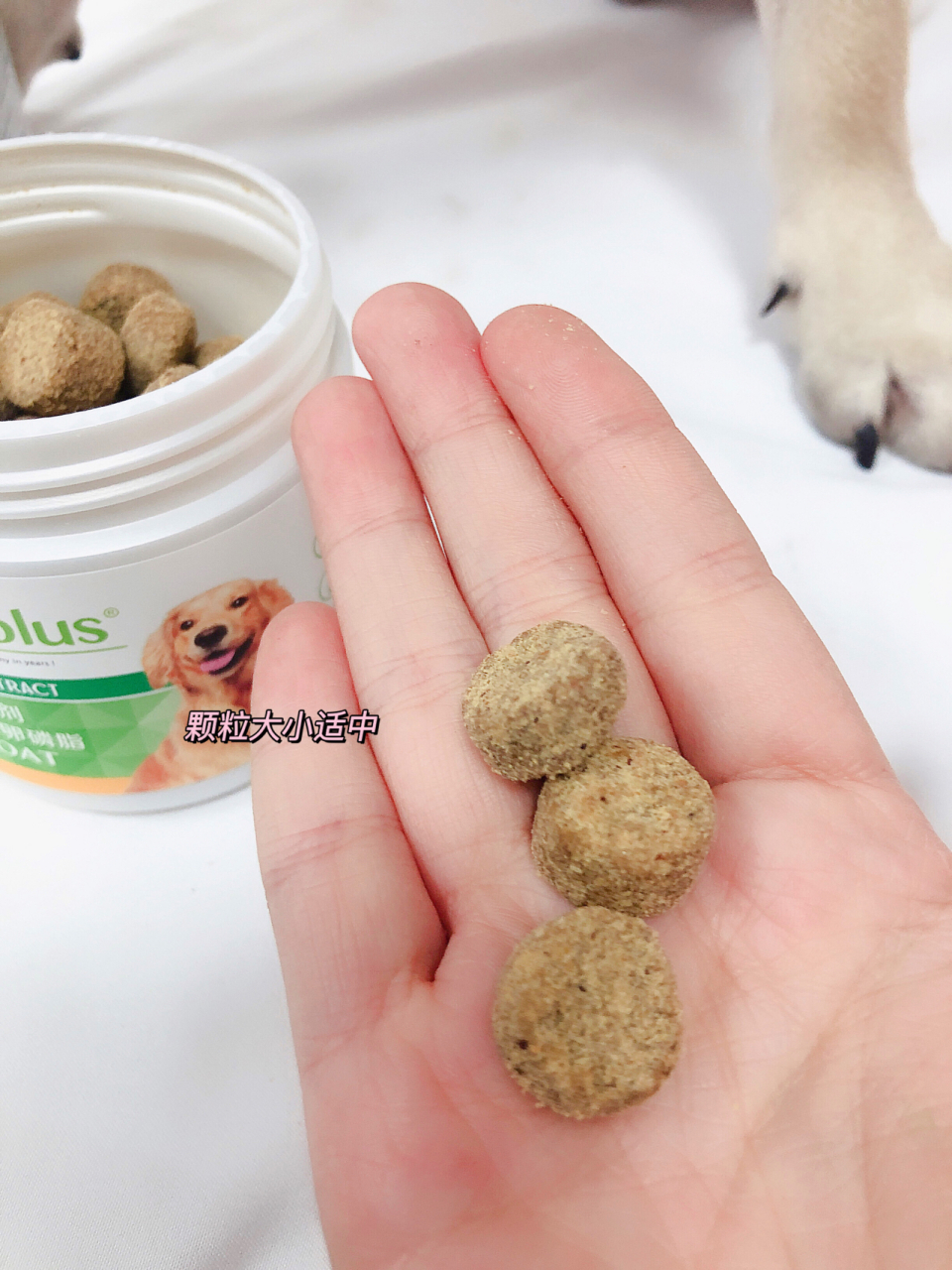 双十二必囤麦德氏卵磷脂 很多人都在问我加狗狗的毛发怎么这么好,当然