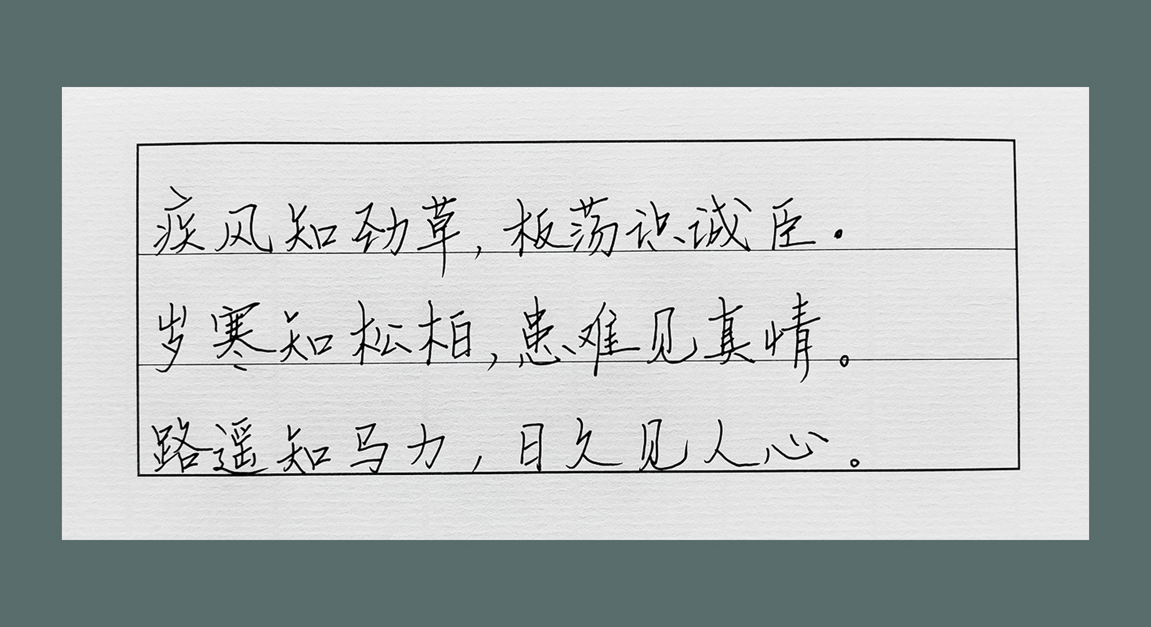 人生感悟# #经典语录# #手写