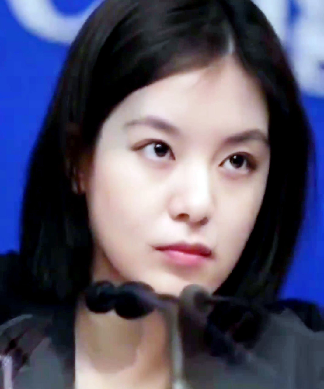 美女翻译官张京,早在13年就已走红