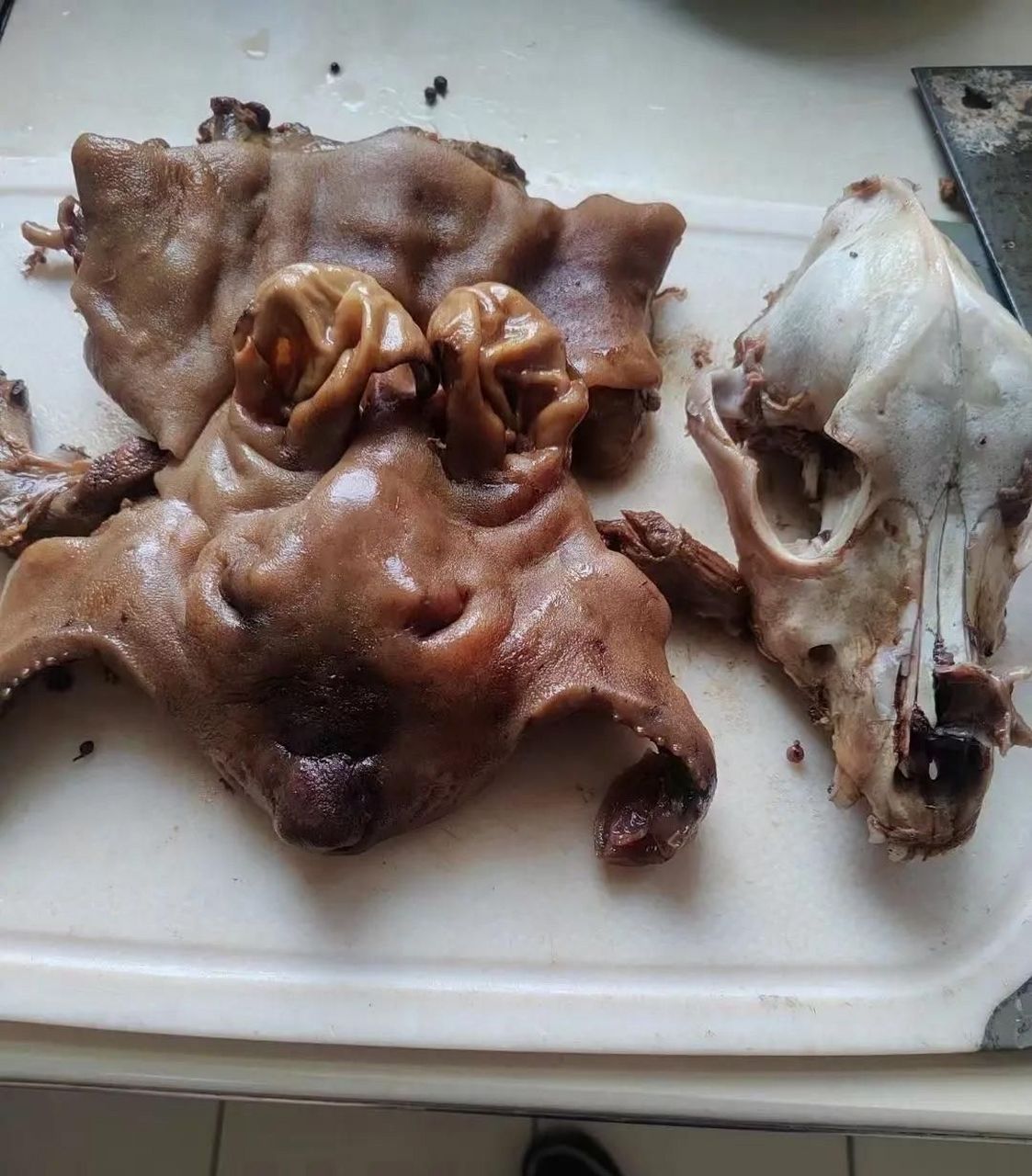 你敢吃狗肉吗?