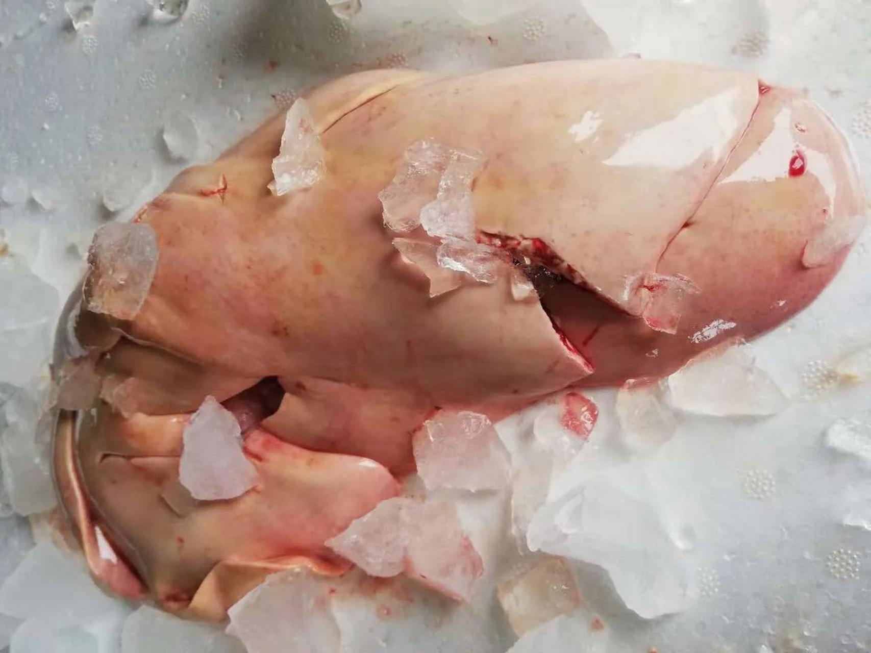 吃了鲨鱼肝以后,会出现中毒症状,严重时甚至可能危及生命.