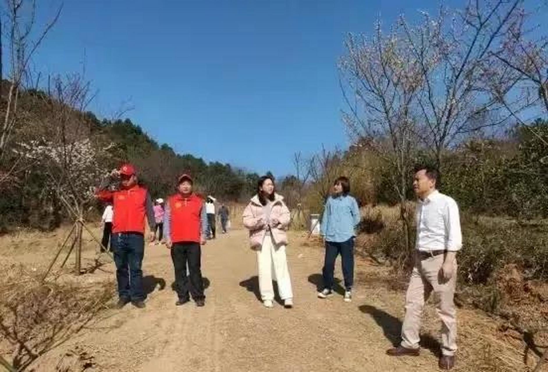 湖南临澧的美女副县长邓蕴琳,皮肤娇好,一副甜美的娃娃相,女孩中的