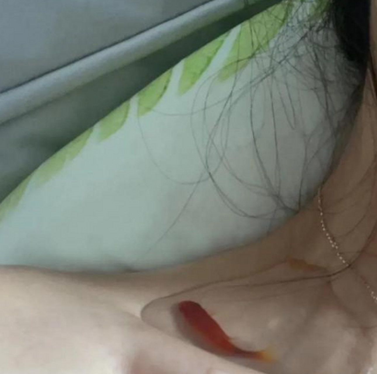 来 看看什么是瘦 !锁骨养鱼如何