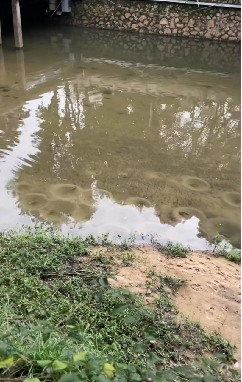 难道这就是传说中的鱼窝?