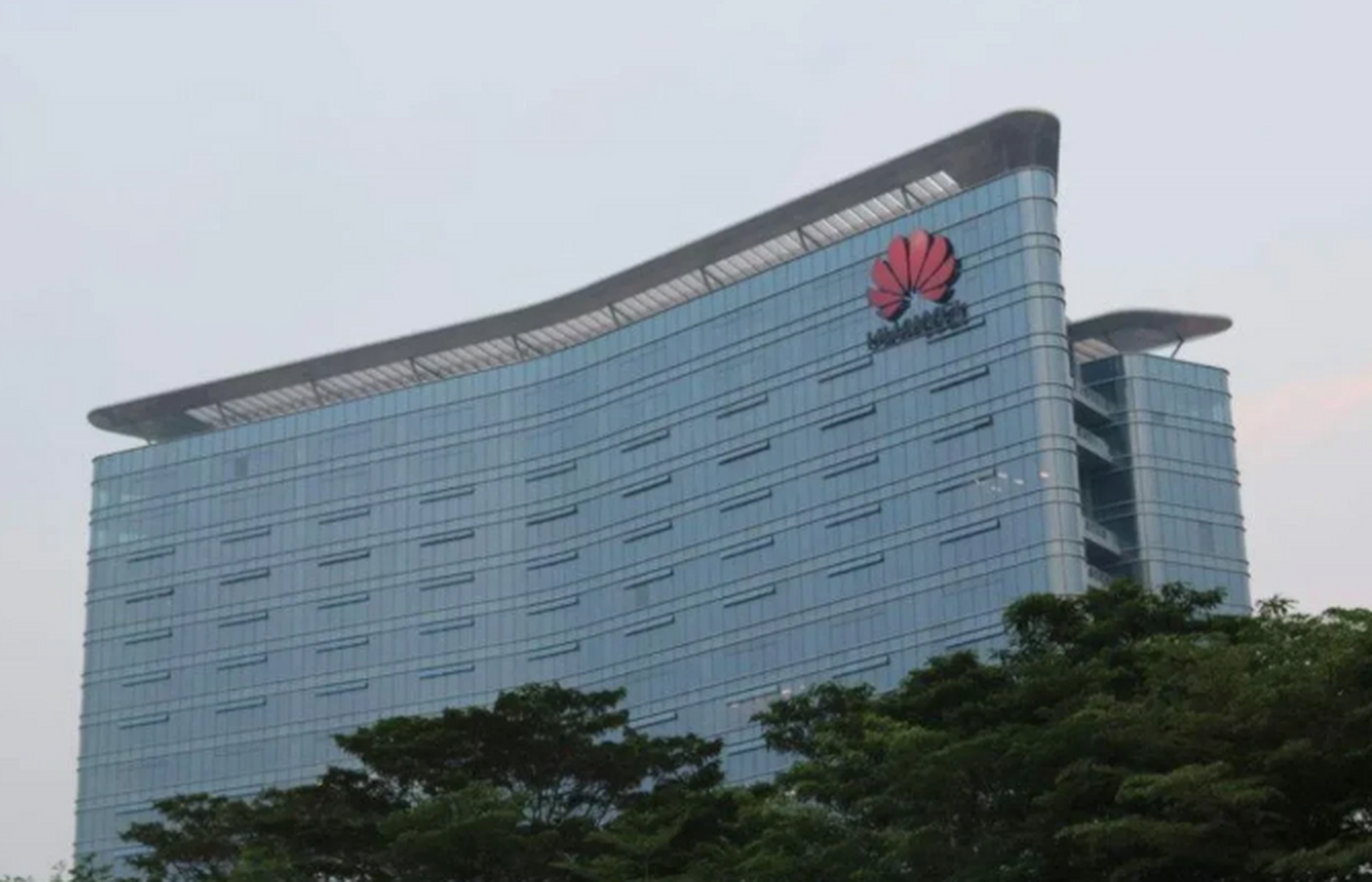 堂弟985研究生毕业,放弃m国留学机会,在深圳华为总部工作,年薪80多万