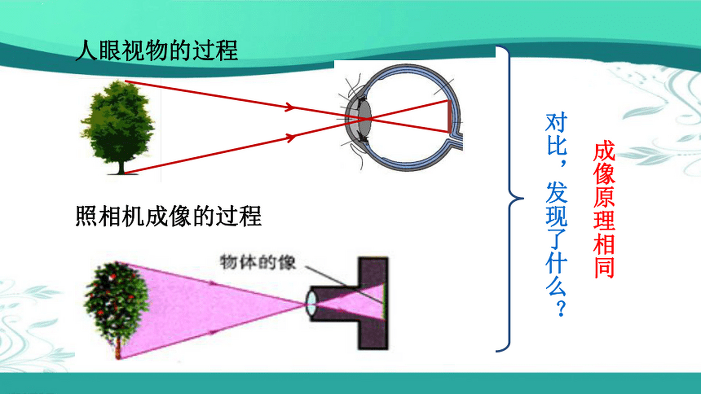 眼球和照相机的结构有多像? 不能说十分相似, 只能说一模一样[笑哭]